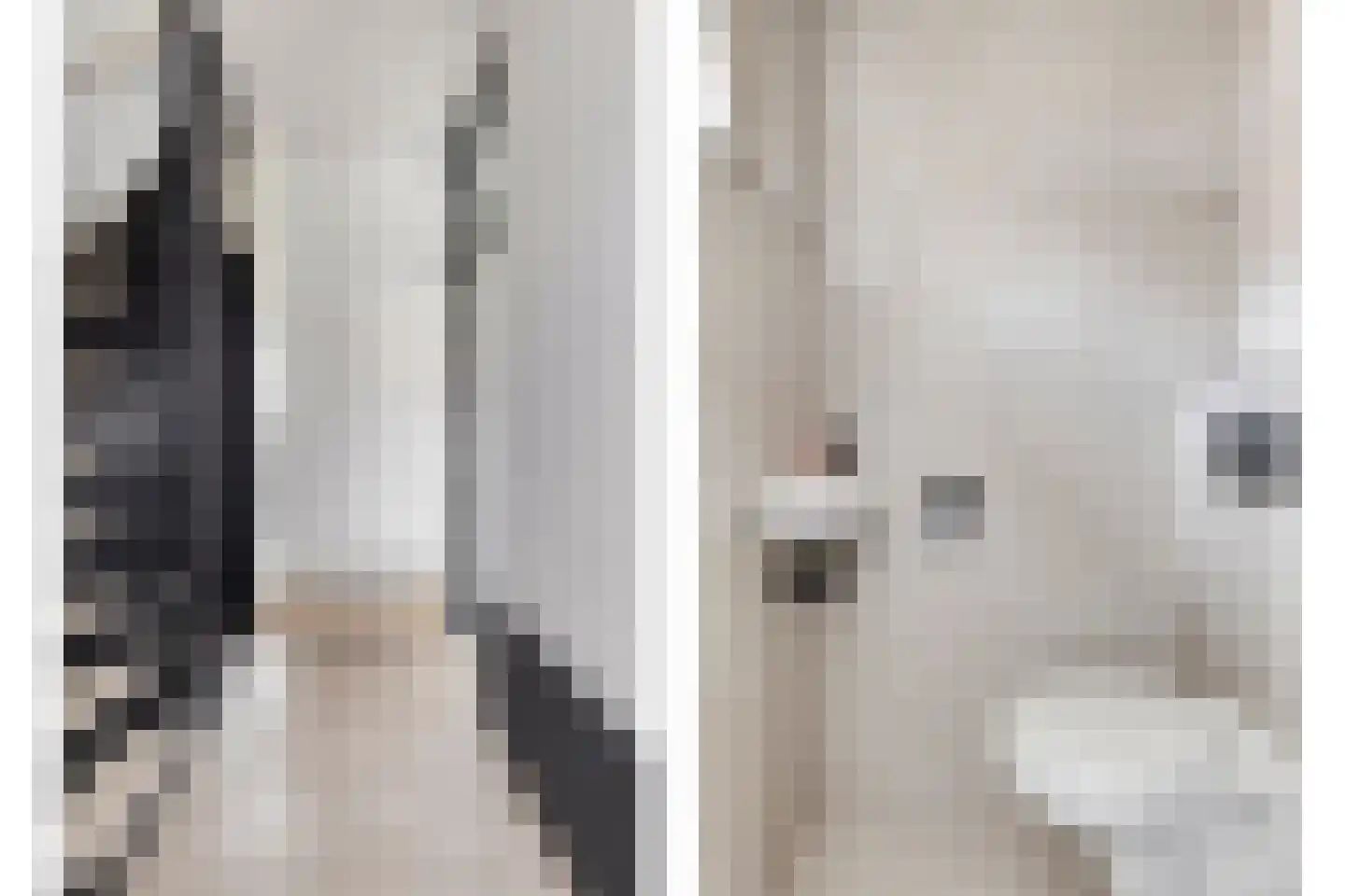 Lijnzaadstraat 10 Koewacht thumbnail 13