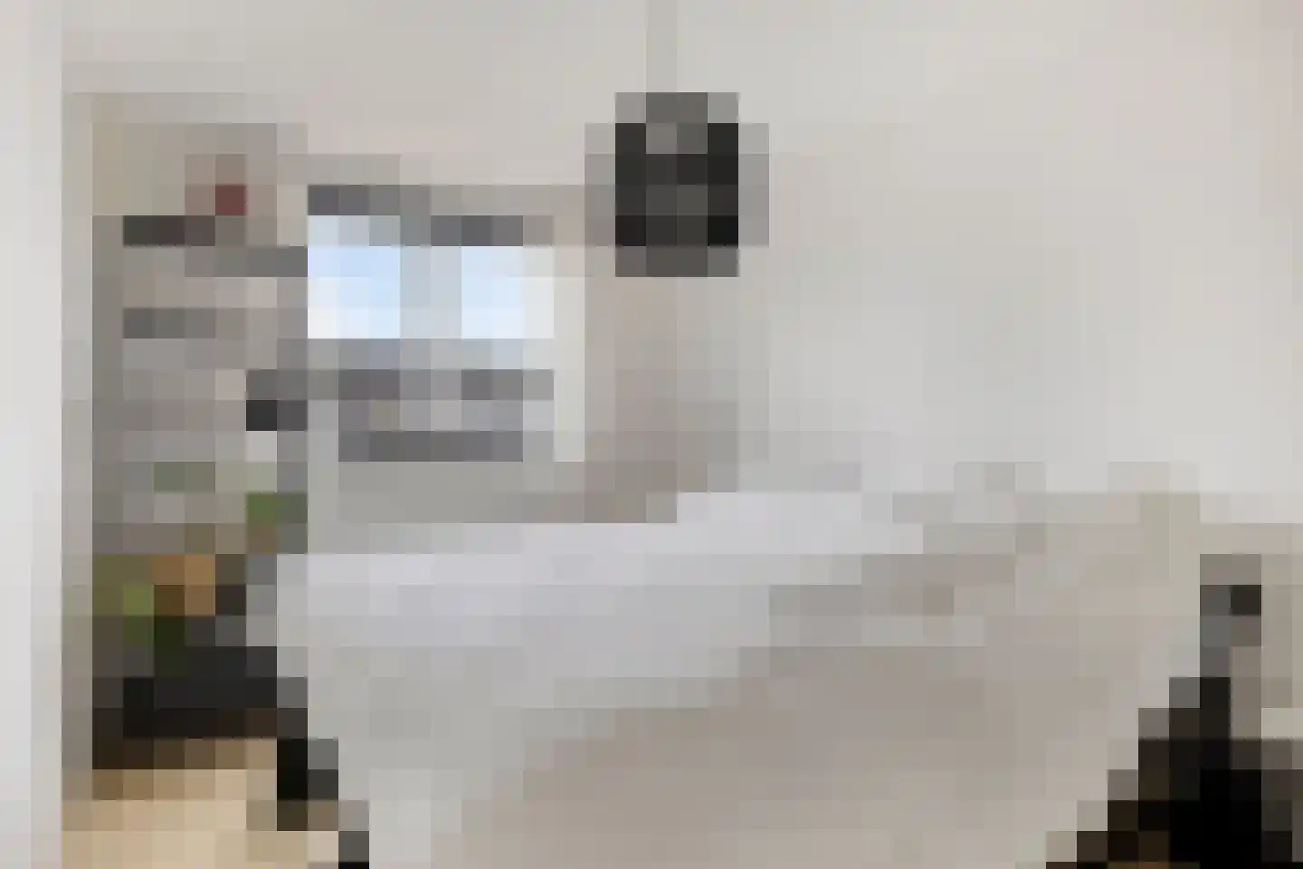 Lijnzaadstraat 10 Koewacht thumbnail 14