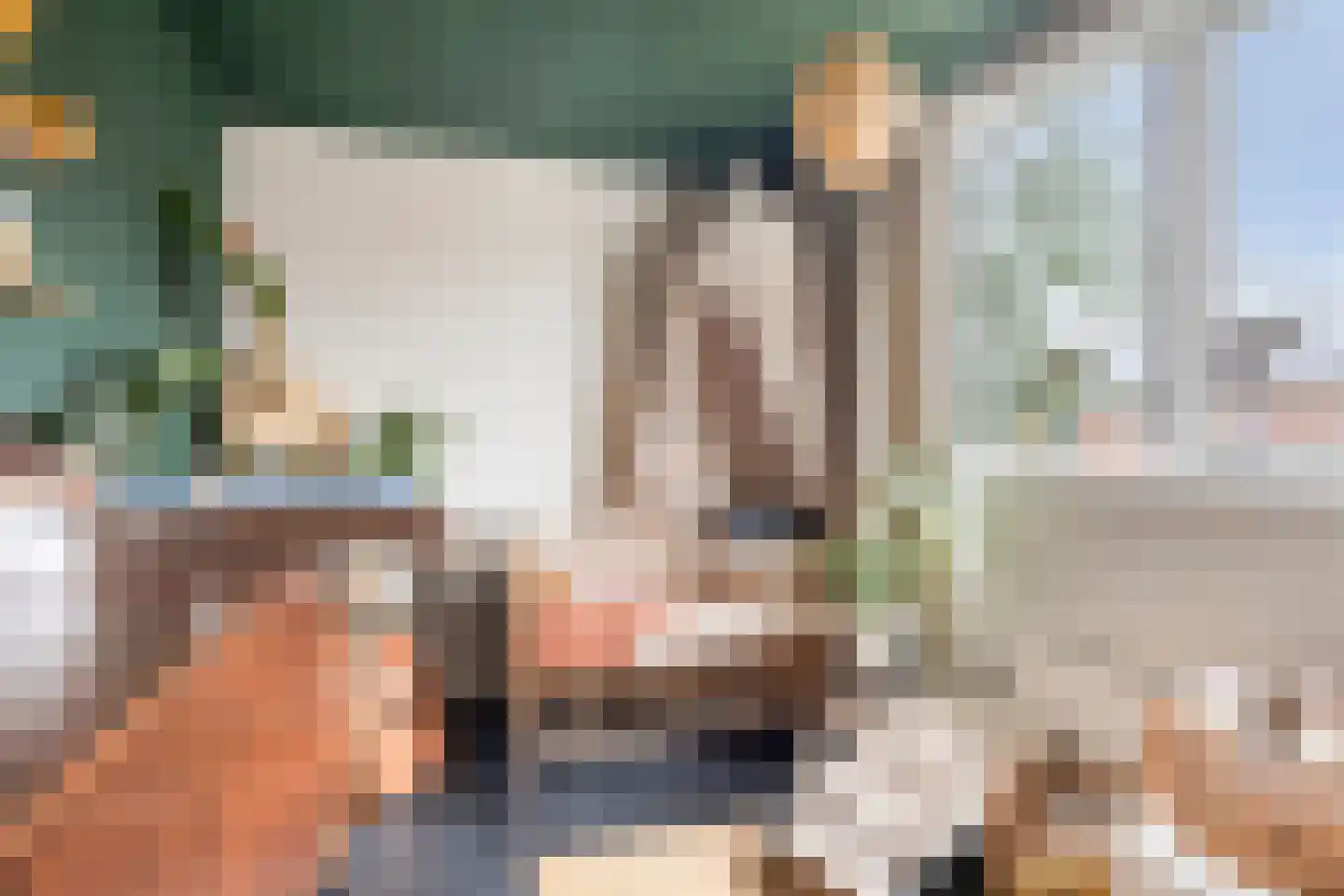 Lijnzaadstraat 10 Koewacht thumbnail 18