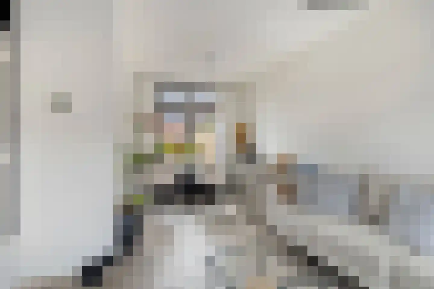 Lijnzaadstraat 10 Koewacht thumbnail 7