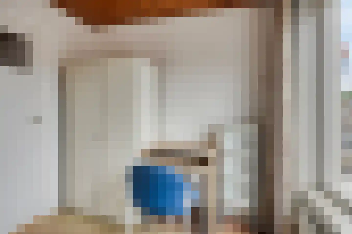 Lijnzaadstraat 10 Oss thumbnail 15