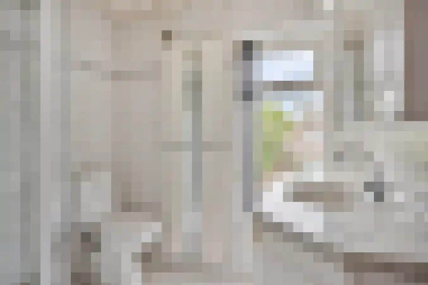 Lijnzaadstraat 10 Oss thumbnail 16