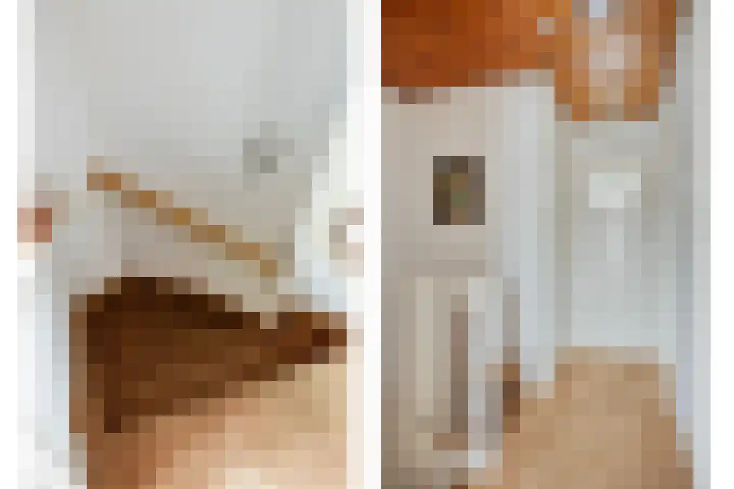 Lijnzaadstraat 10 Oss thumbnail 18