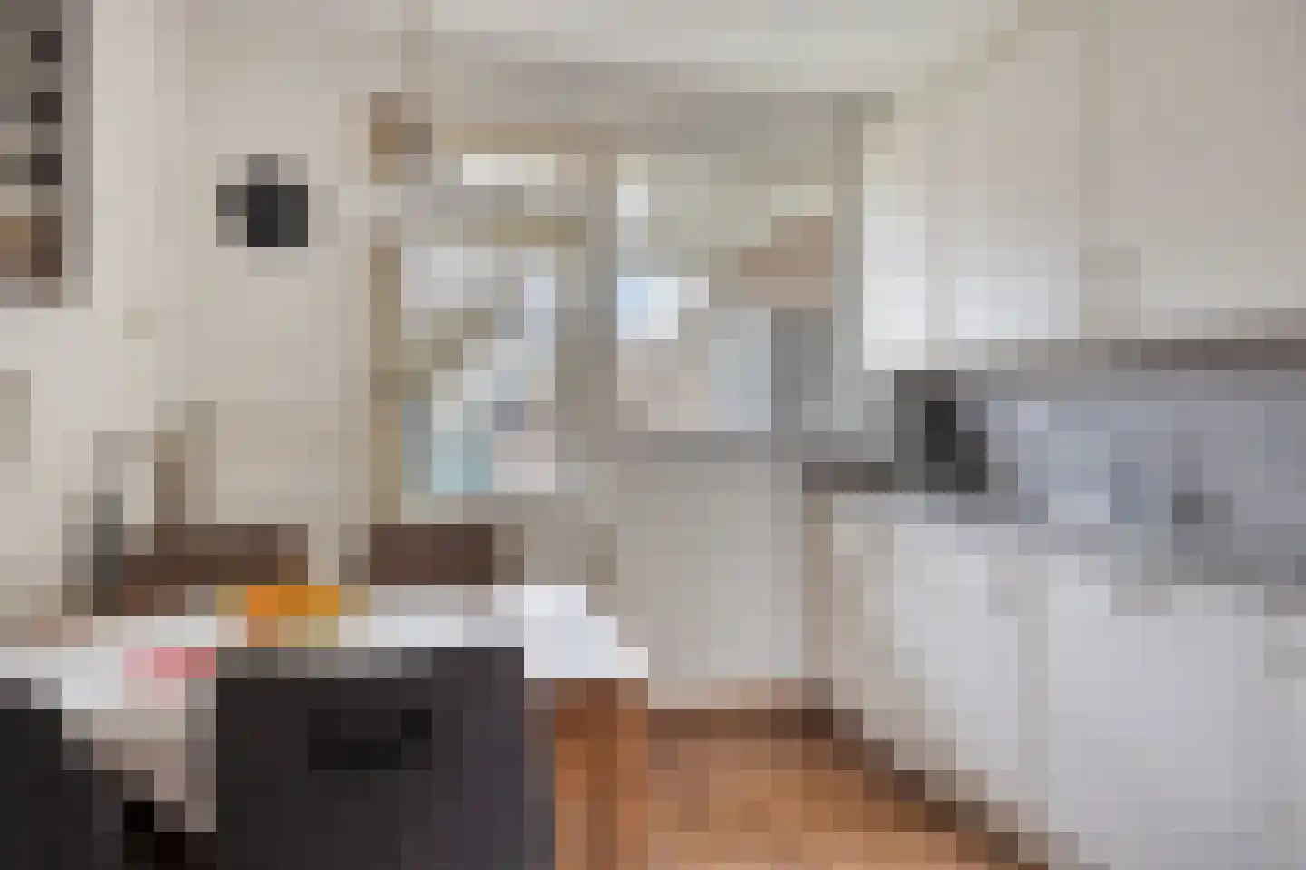 Lijnzaadstraat 10 Oss thumbnail 4