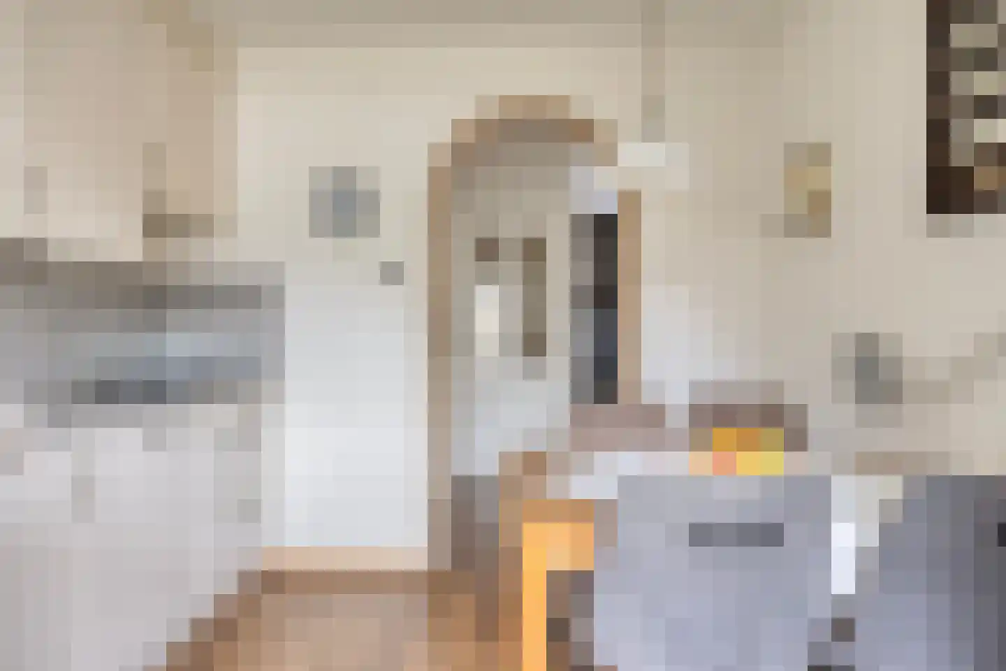 Lijnzaadstraat 10 Oss thumbnail 5