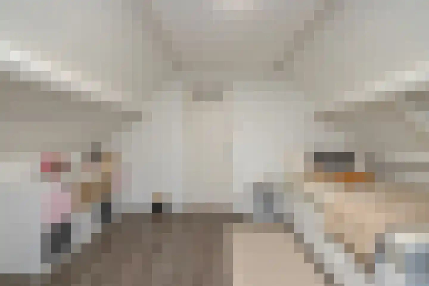 Lijnzaadstraat 16 A Rotterdam thumbnail 10