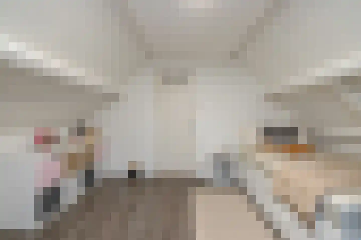 Lijnzaadstraat 16 A Rotterdam thumbnail 23