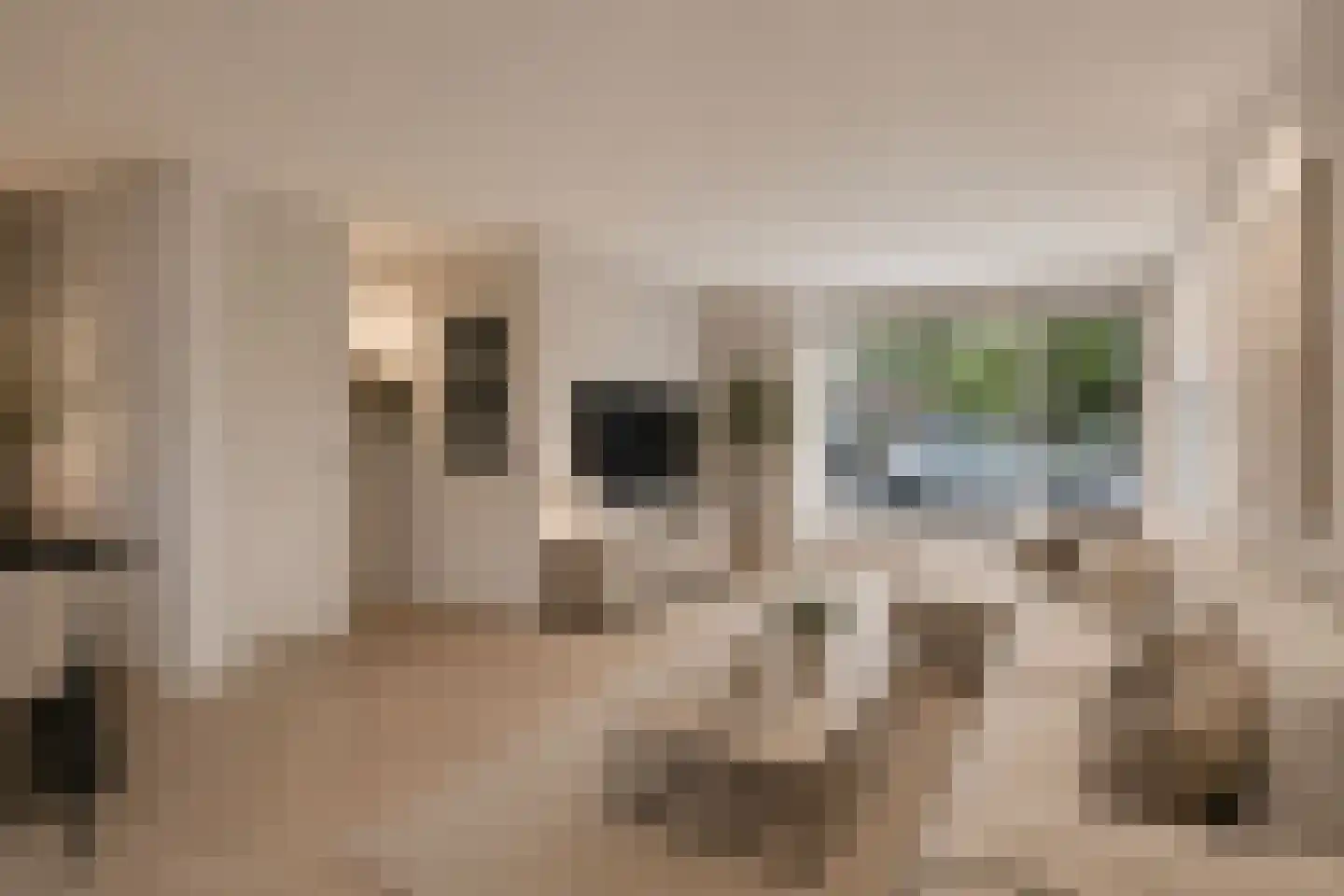 Lijnzaadstraat 22 Oss thumbnail 11