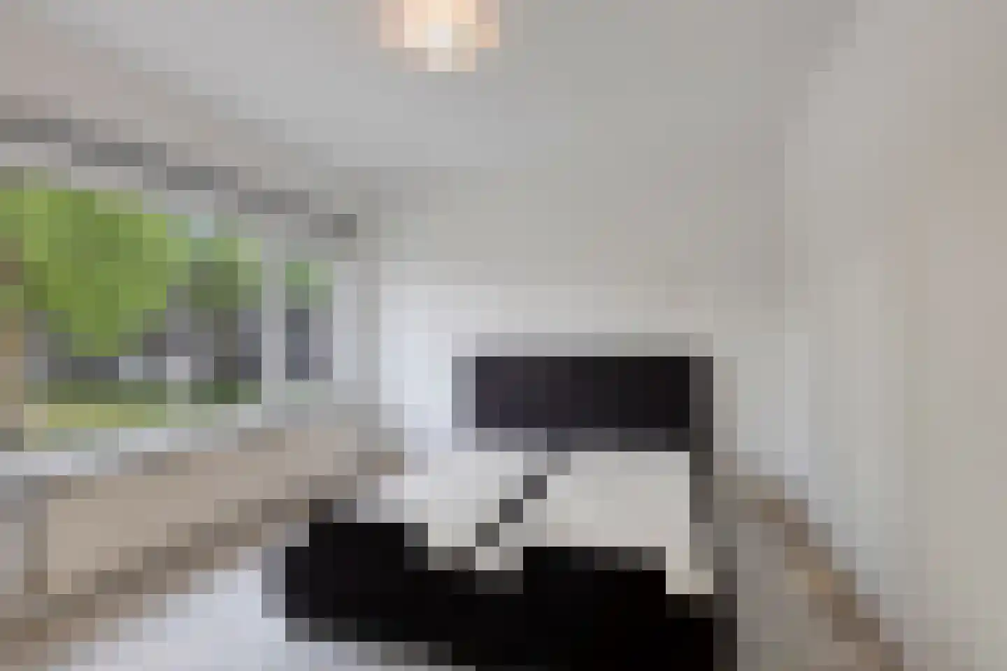 Lijnzaadstraat 22 Oss thumbnail 17