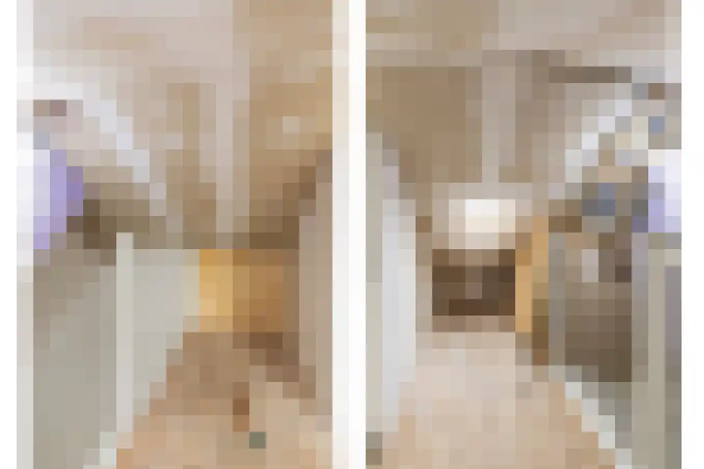 Lijnzaadstraat 22 Oss thumbnail 25