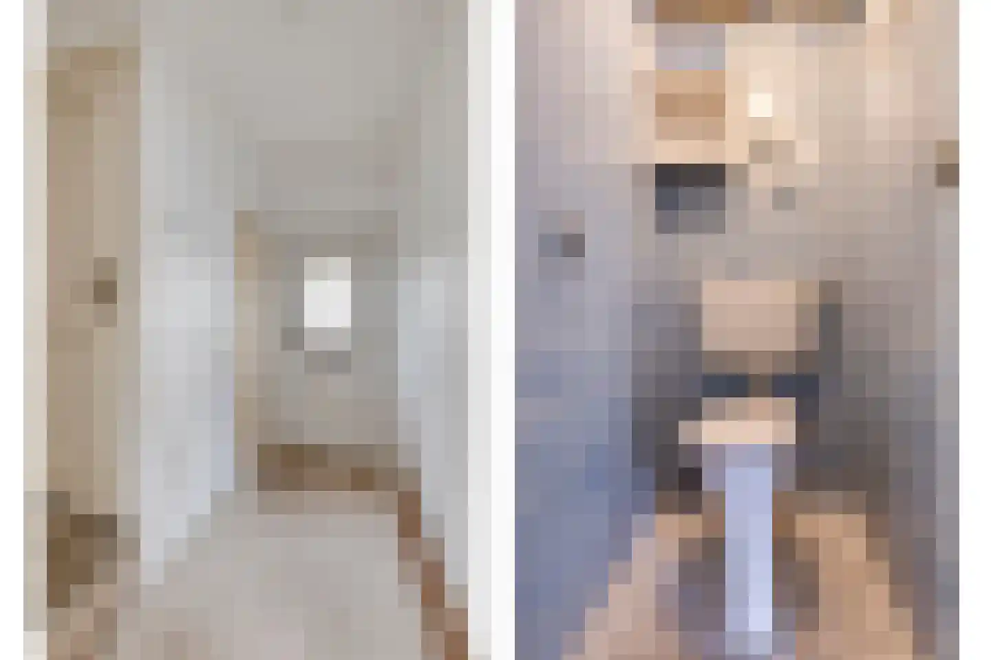 Lijnzaadstraat 22 Oss thumbnail 7
