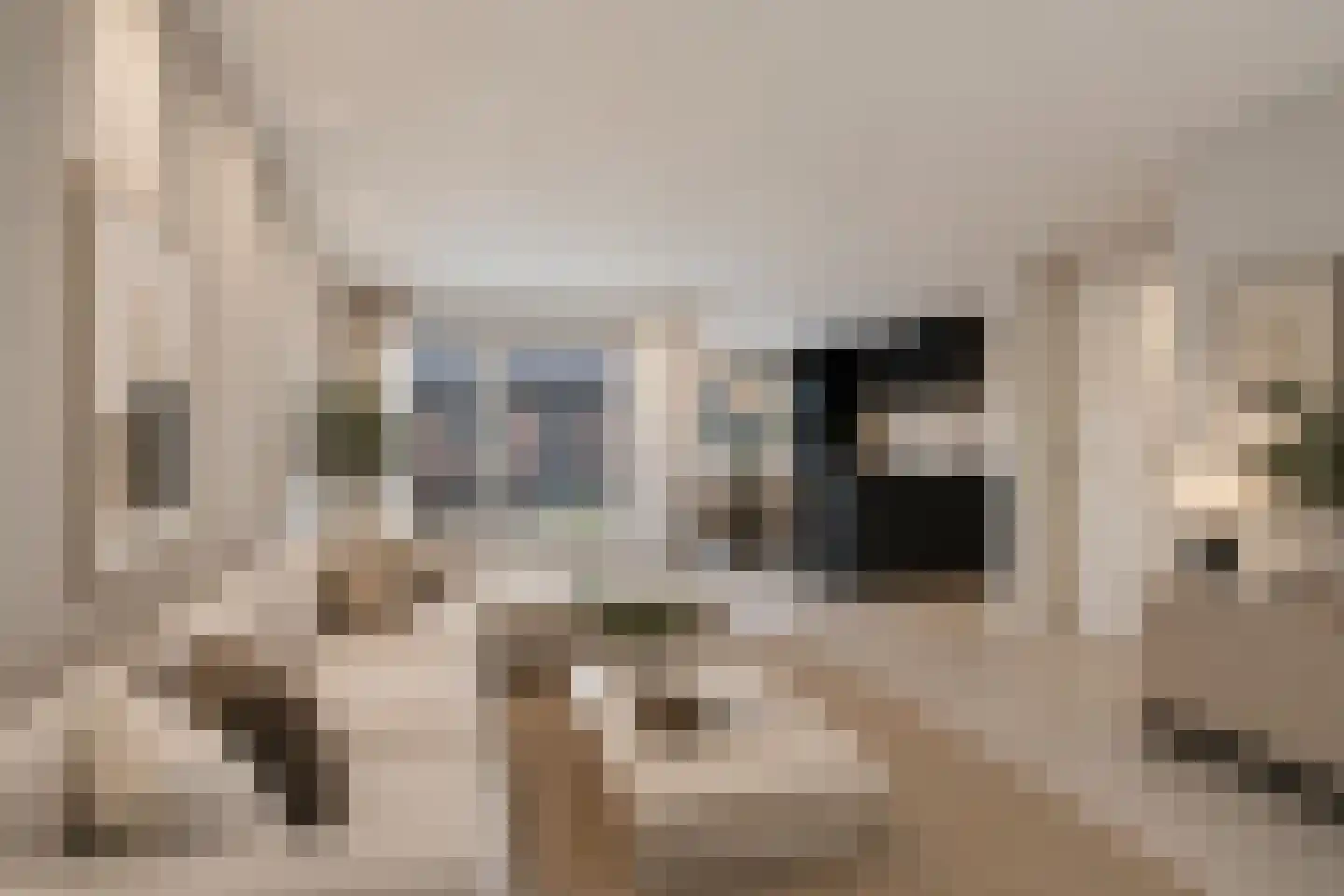 Lijnzaadstraat 22 Oss thumbnail 9