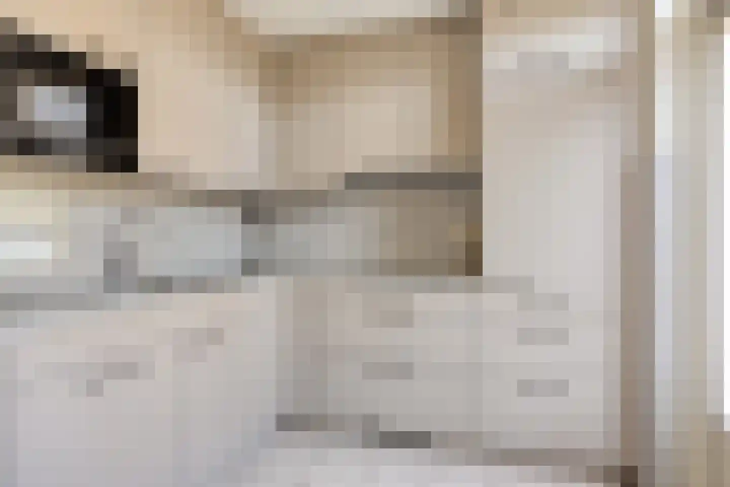 Lijnzaadstraat 6 Dinteloord thumbnail 11