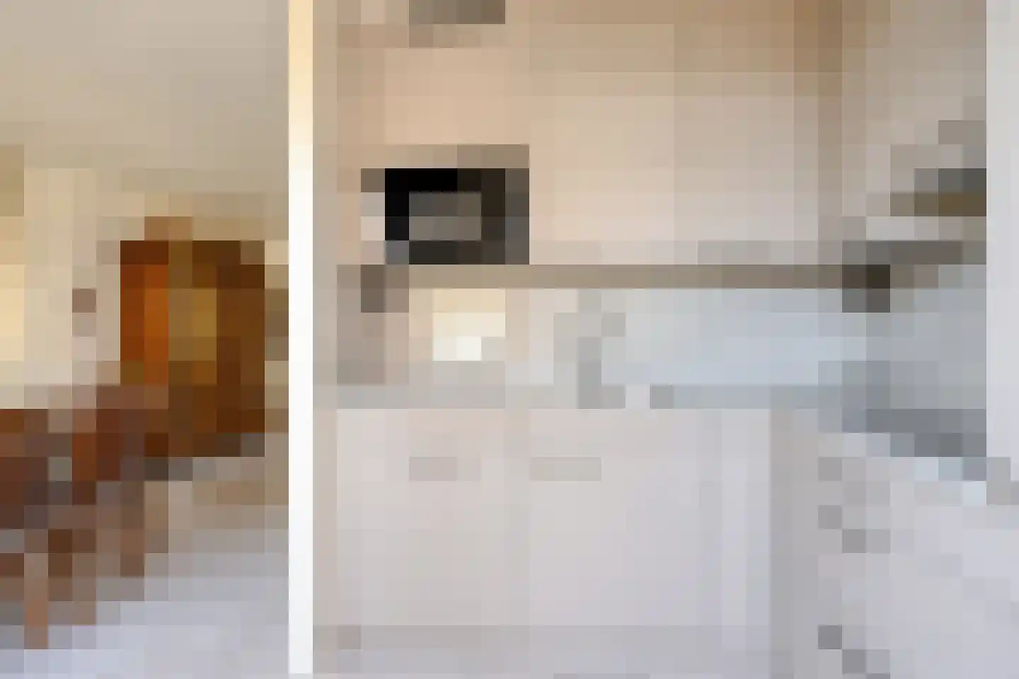 Lijnzaadstraat 6 Dinteloord thumbnail 12