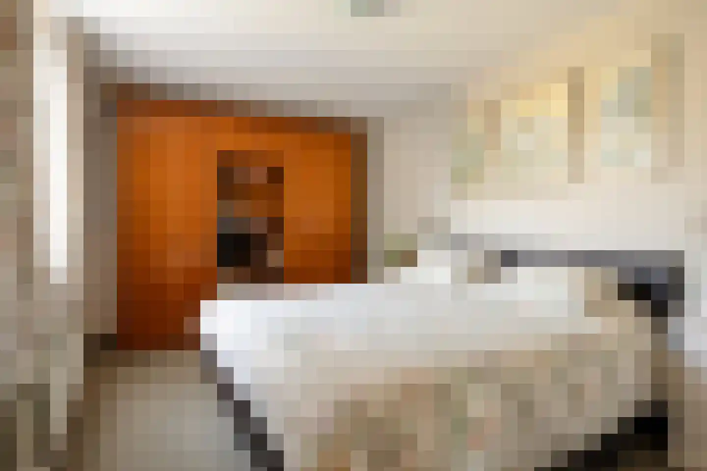 Lijnzaadstraat 6 Dinteloord thumbnail 13