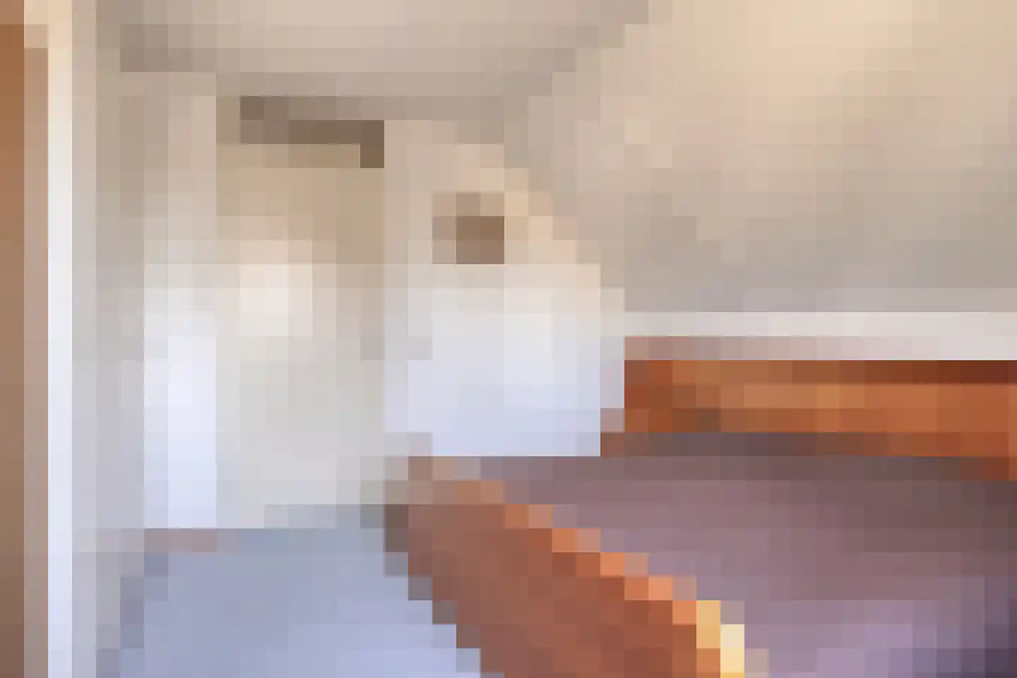 Lijnzaadstraat 6 Dinteloord thumbnail 20