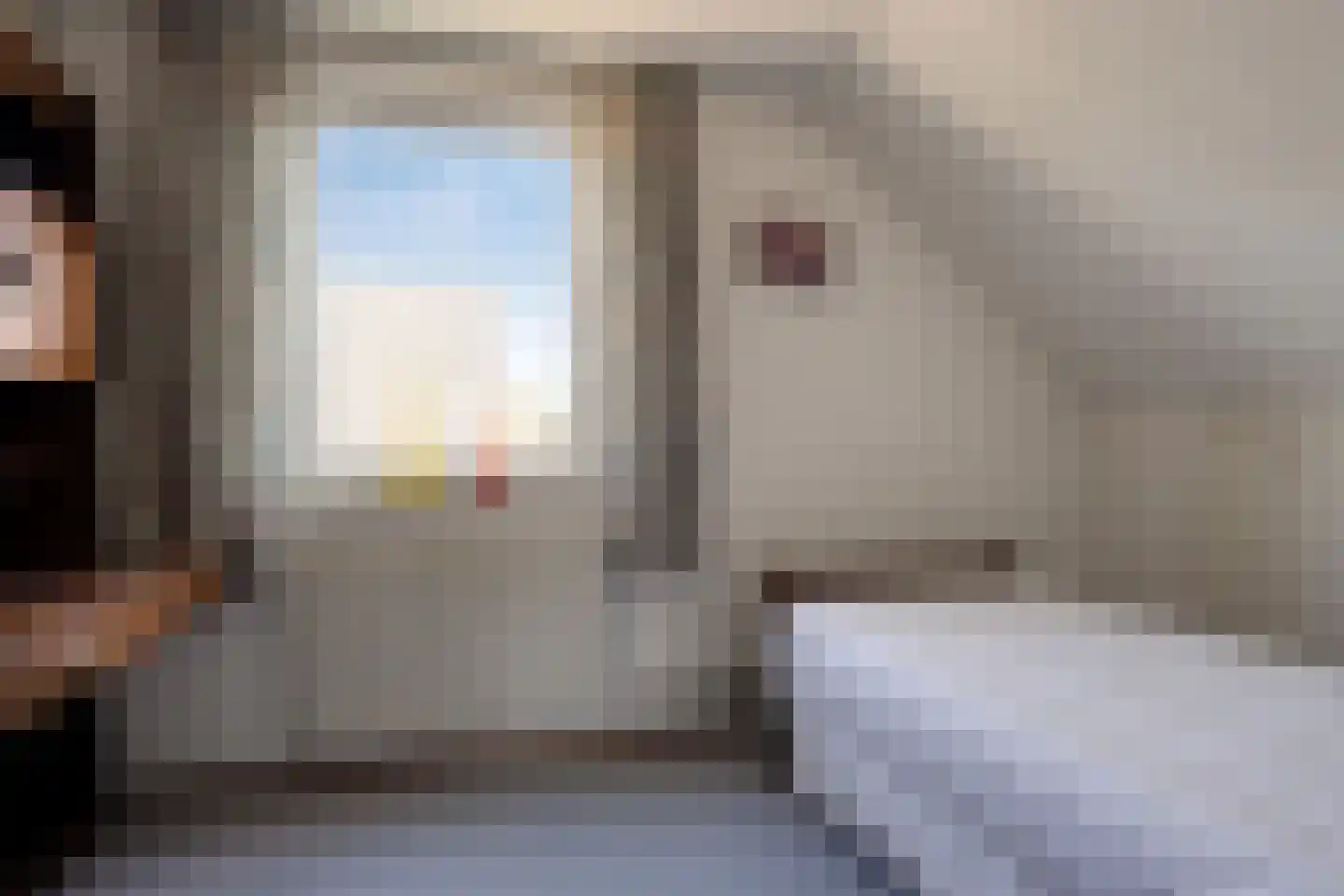 Lijnzaadstraat 6 Dinteloord thumbnail 21