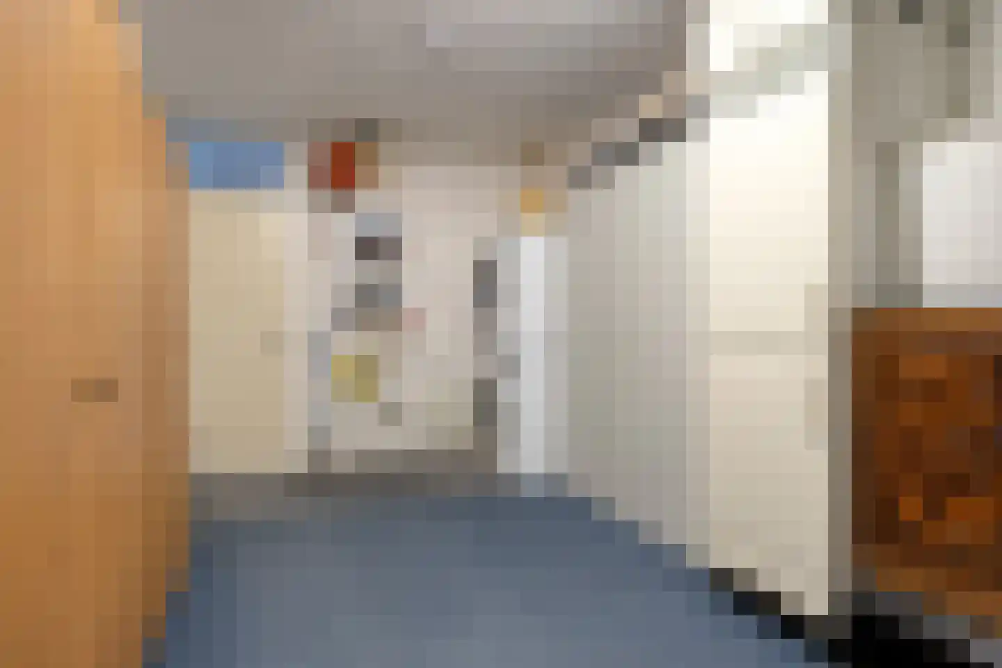Lijnzaadstraat 6 Dinteloord thumbnail 23