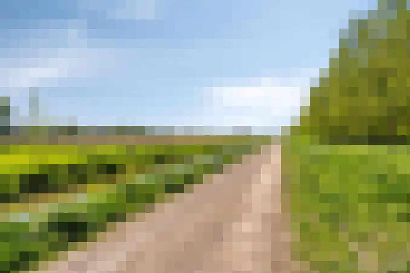 Lijnzaadstraat 6 Dinteloord thumbnail 30