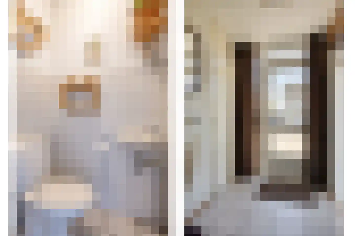 Lijnzaadstraat 6 Dinteloord thumbnail 6
