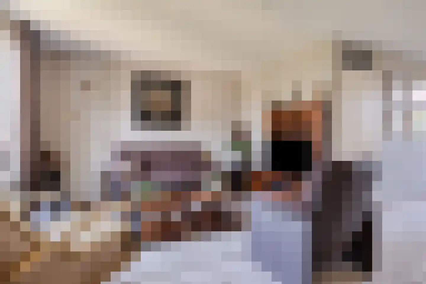 Lijnzaadstraat 6 Dinteloord thumbnail 7