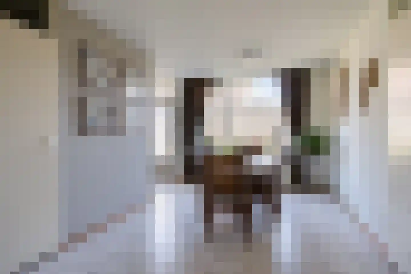 Lijnzaadstraat 6 Dinteloord thumbnail 9