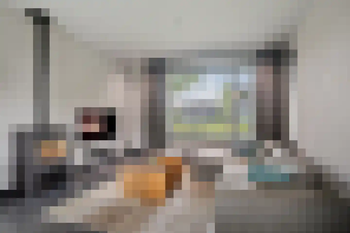 Lijnzaadweg 26 Berghem thumbnail 11