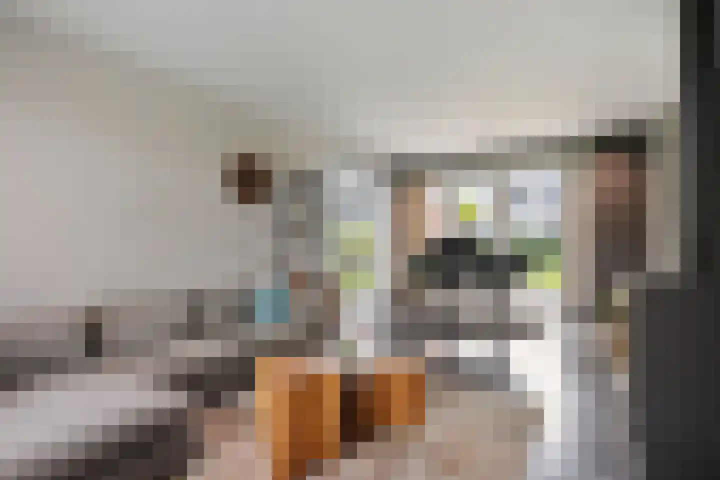 Lijnzaadweg 26 Berghem thumbnail 13