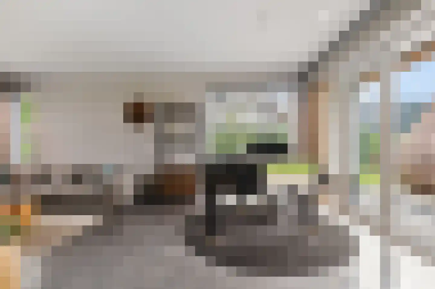 Lijnzaadweg 26 Berghem thumbnail 14