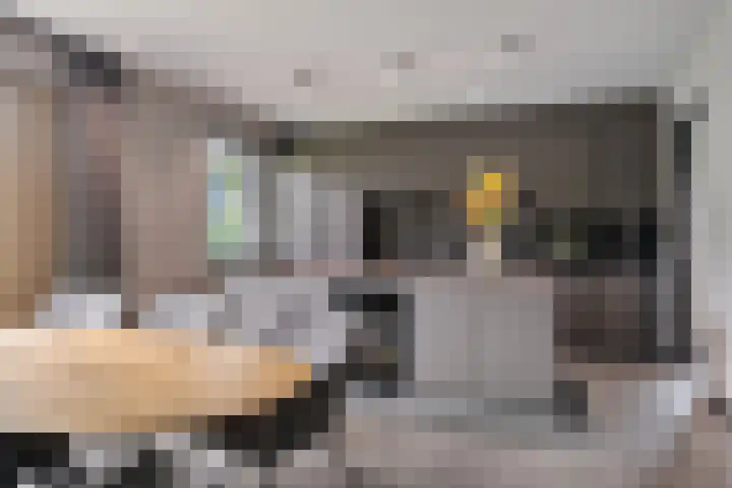 Lijnzaadweg 26 Berghem thumbnail 16