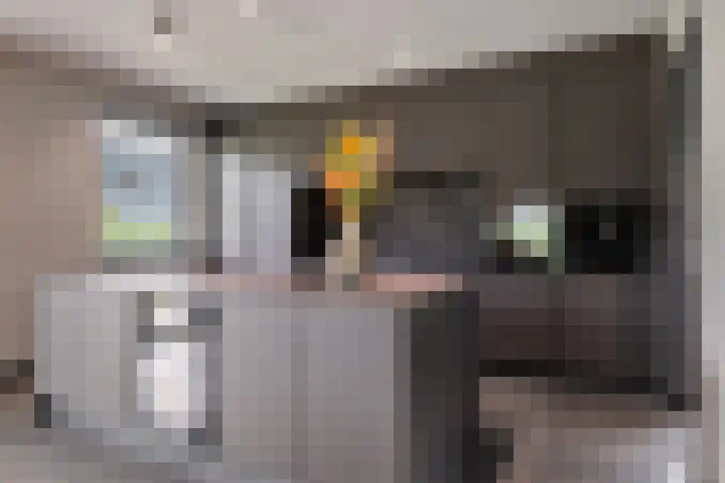 Lijnzaadweg 26 Berghem thumbnail 17