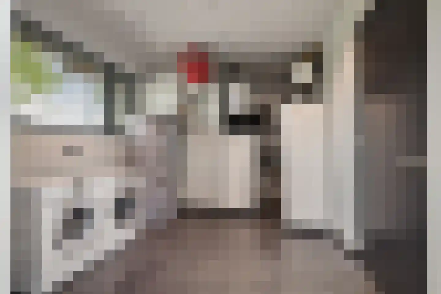 Lijnzaadweg 26 Berghem thumbnail 22