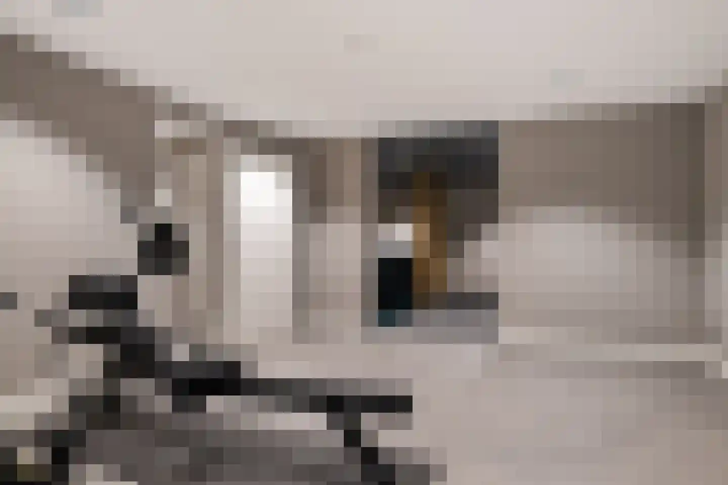 Lijnzaadweg 26 Berghem thumbnail 39