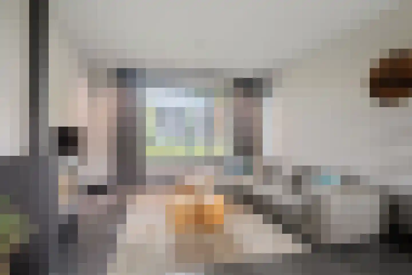 Lijnzaadweg 26 Berghem thumbnail 4