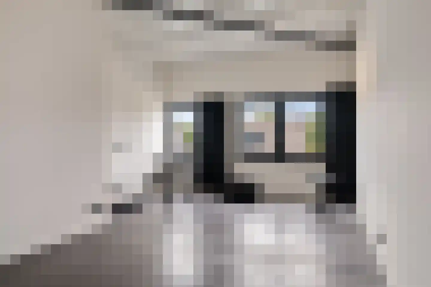Lijnzaadweg 26 Berghem thumbnail 62