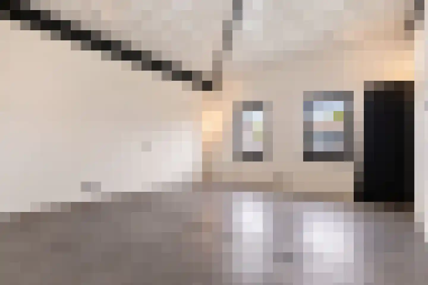 Lijnzaadweg 26 Berghem thumbnail 65
