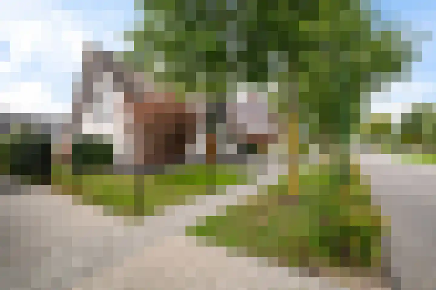 Lijnzaadweg 26 Berghem thumbnail 71