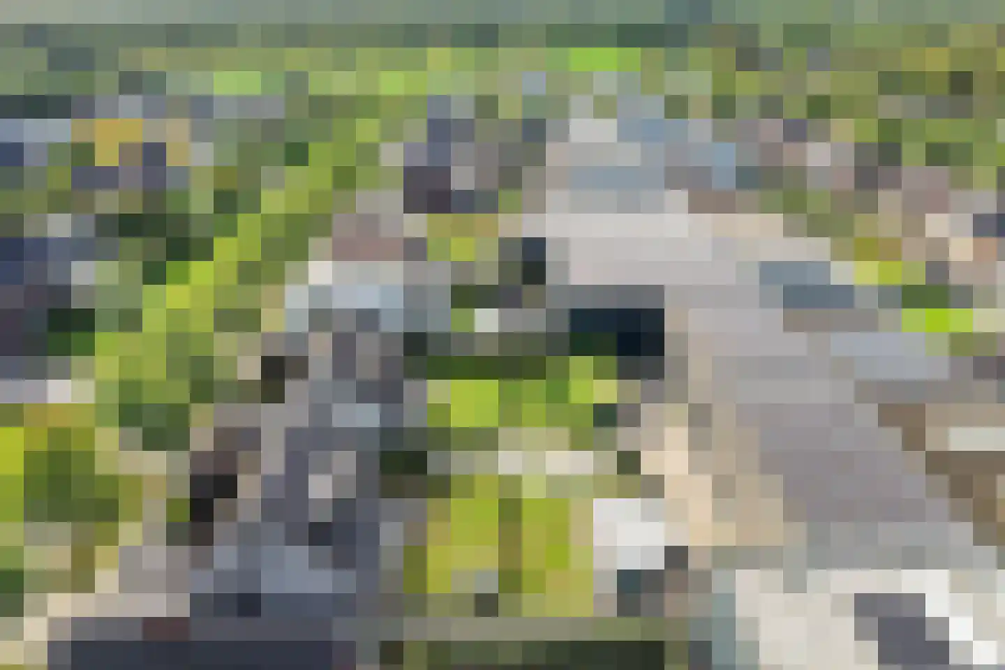 Lijnzaadweg 26 Berghem thumbnail 74