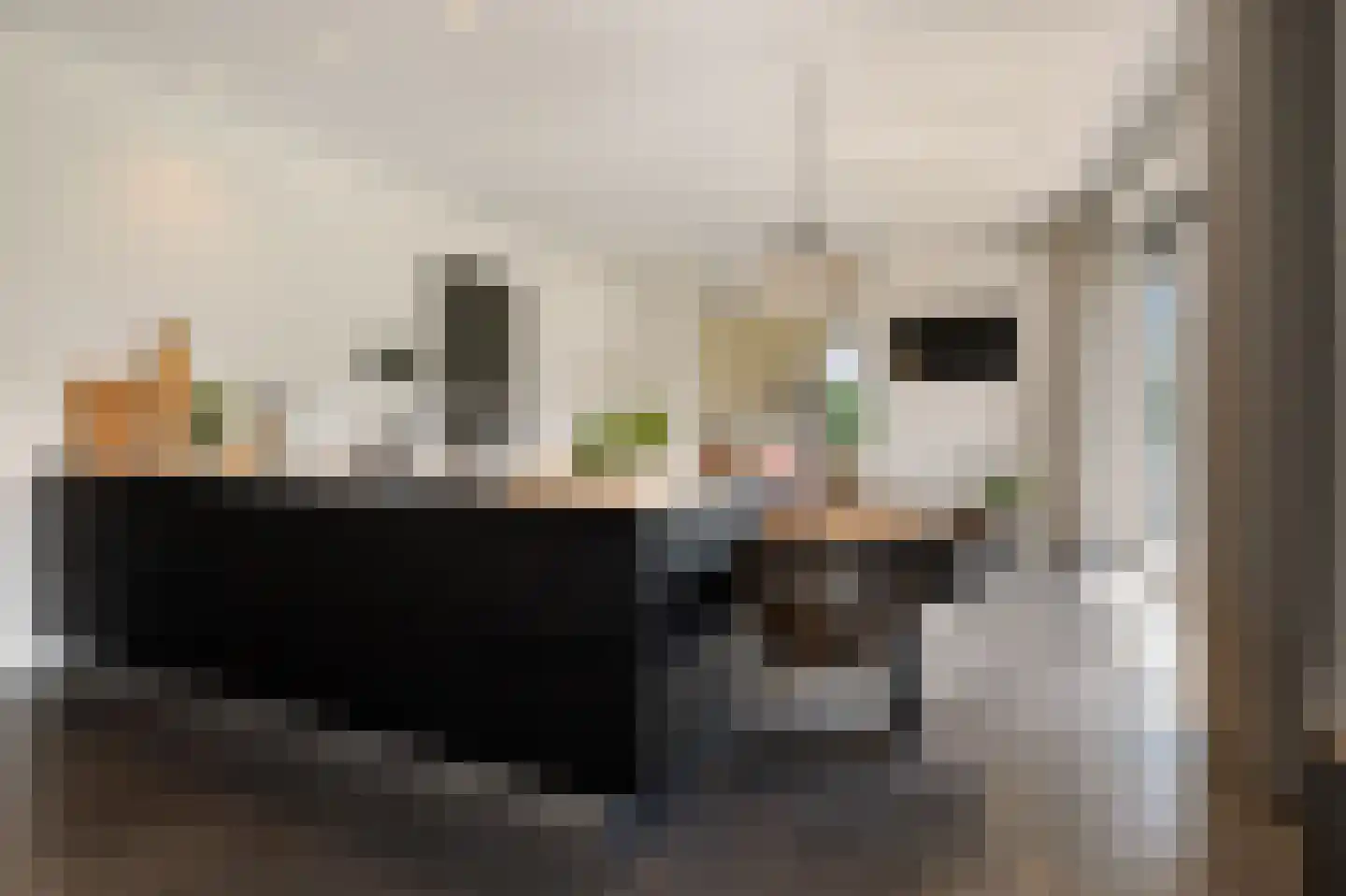 Lijnzaadweg 28 Berghem thumbnail 12
