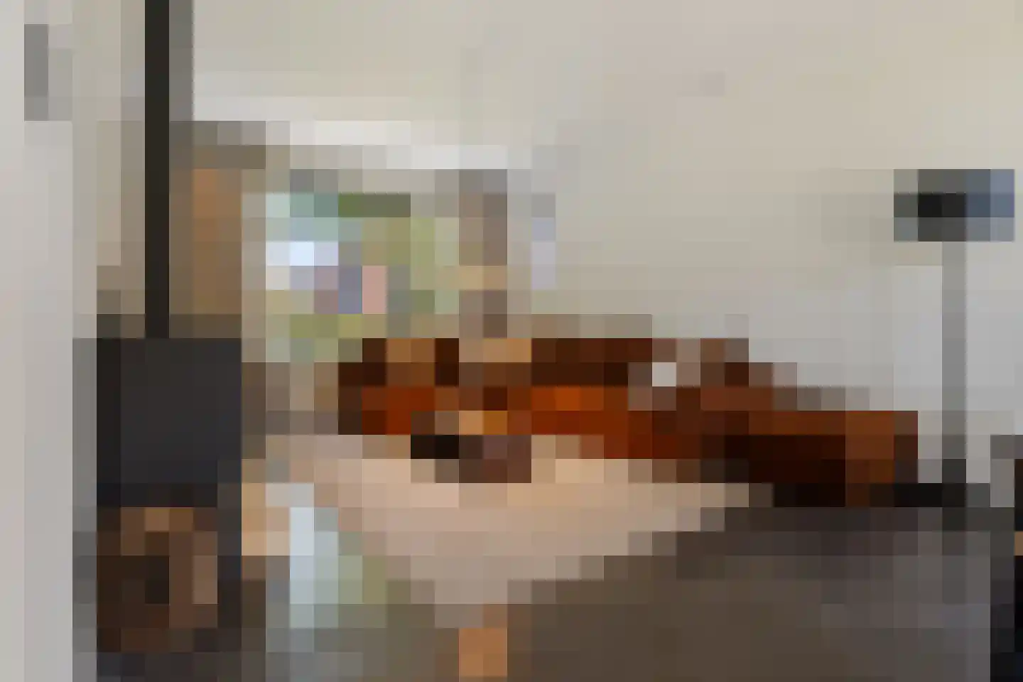 Lijnzaadweg 28 Berghem thumbnail 13