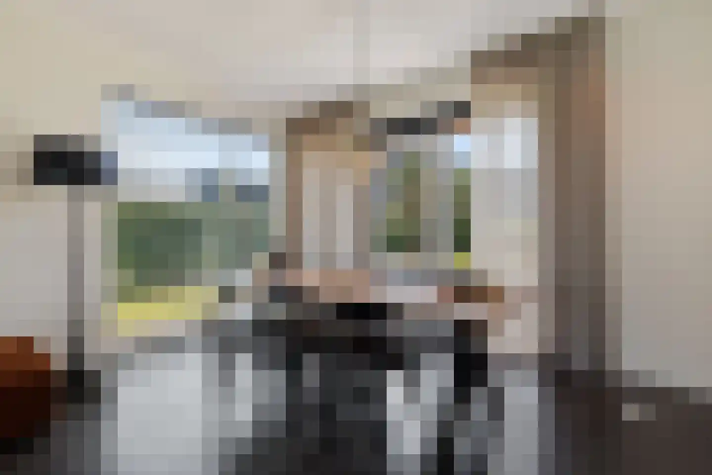 Lijnzaadweg 28 Berghem thumbnail 17