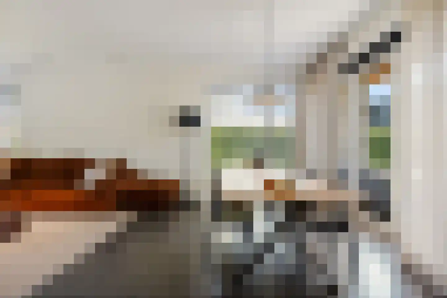 Lijnzaadweg 28 Berghem thumbnail 18