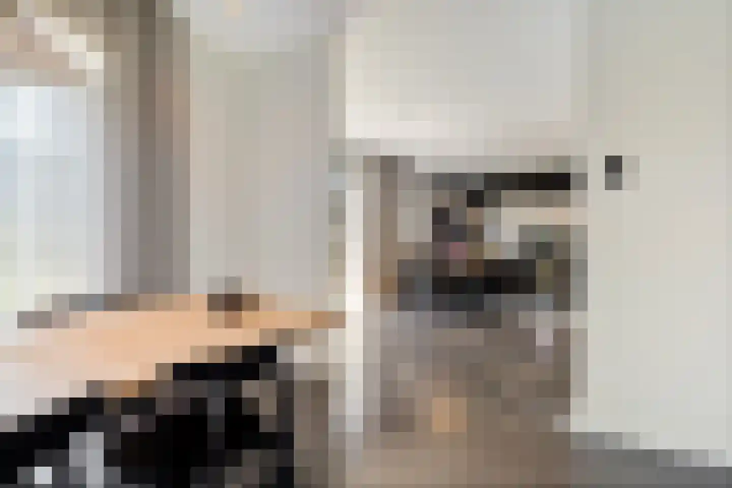 Lijnzaadweg 28 Berghem thumbnail 19