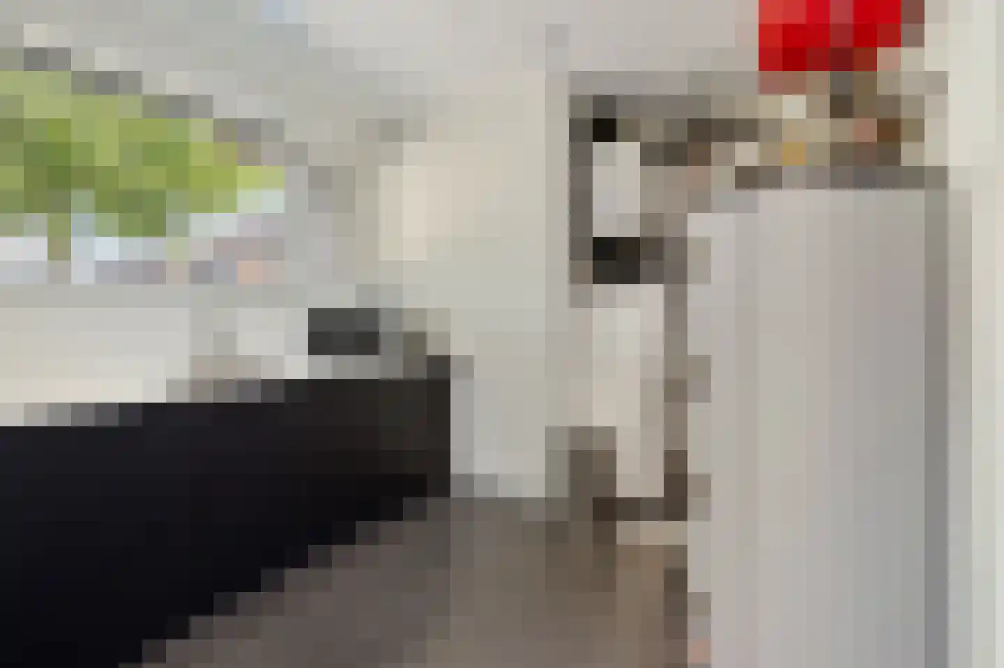 Lijnzaadweg 28 Berghem thumbnail 33