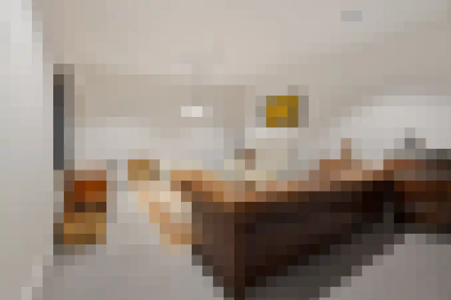 Lijnzaadweg 28 Berghem thumbnail 36