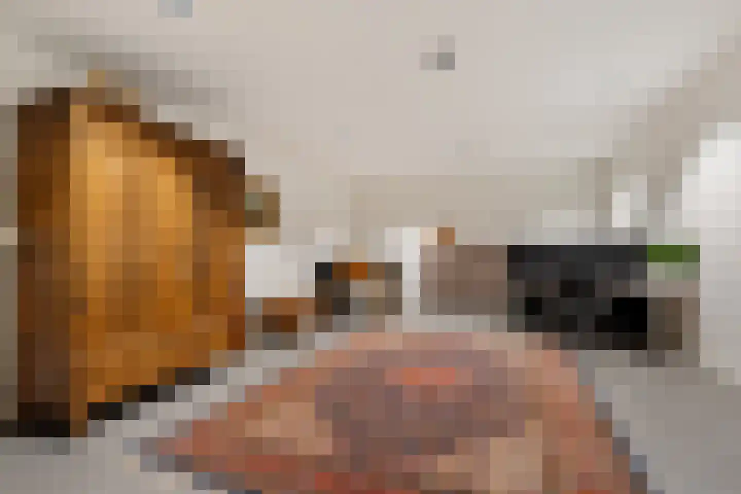 Lijnzaadweg 28 Berghem thumbnail 37