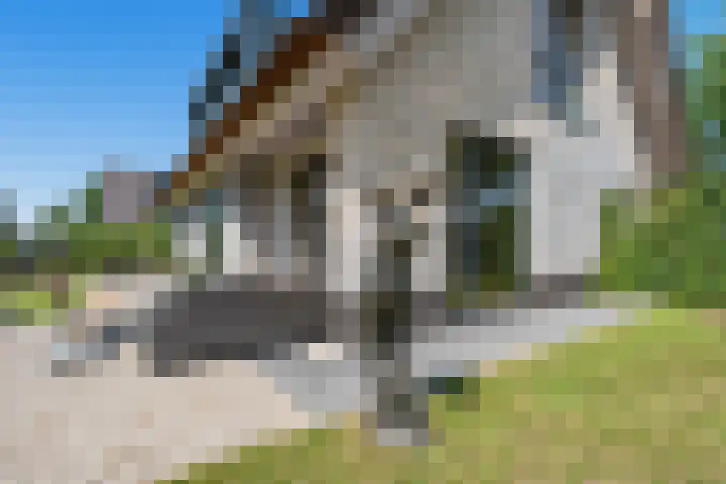 Lijnzaadweg 28 Berghem thumbnail 41