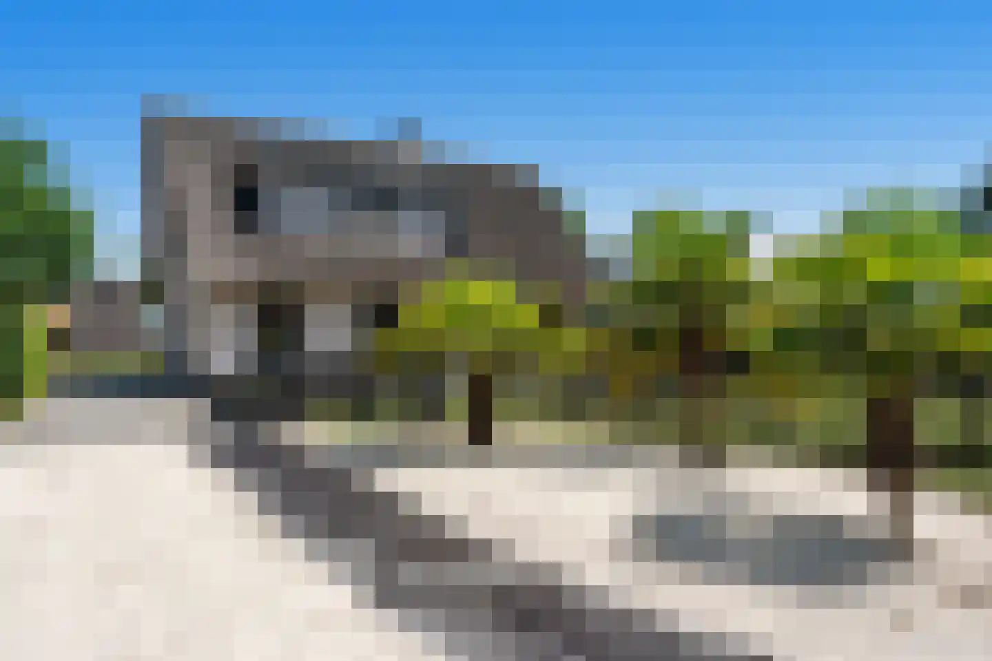 Lijnzaadweg 28 Berghem thumbnail 43