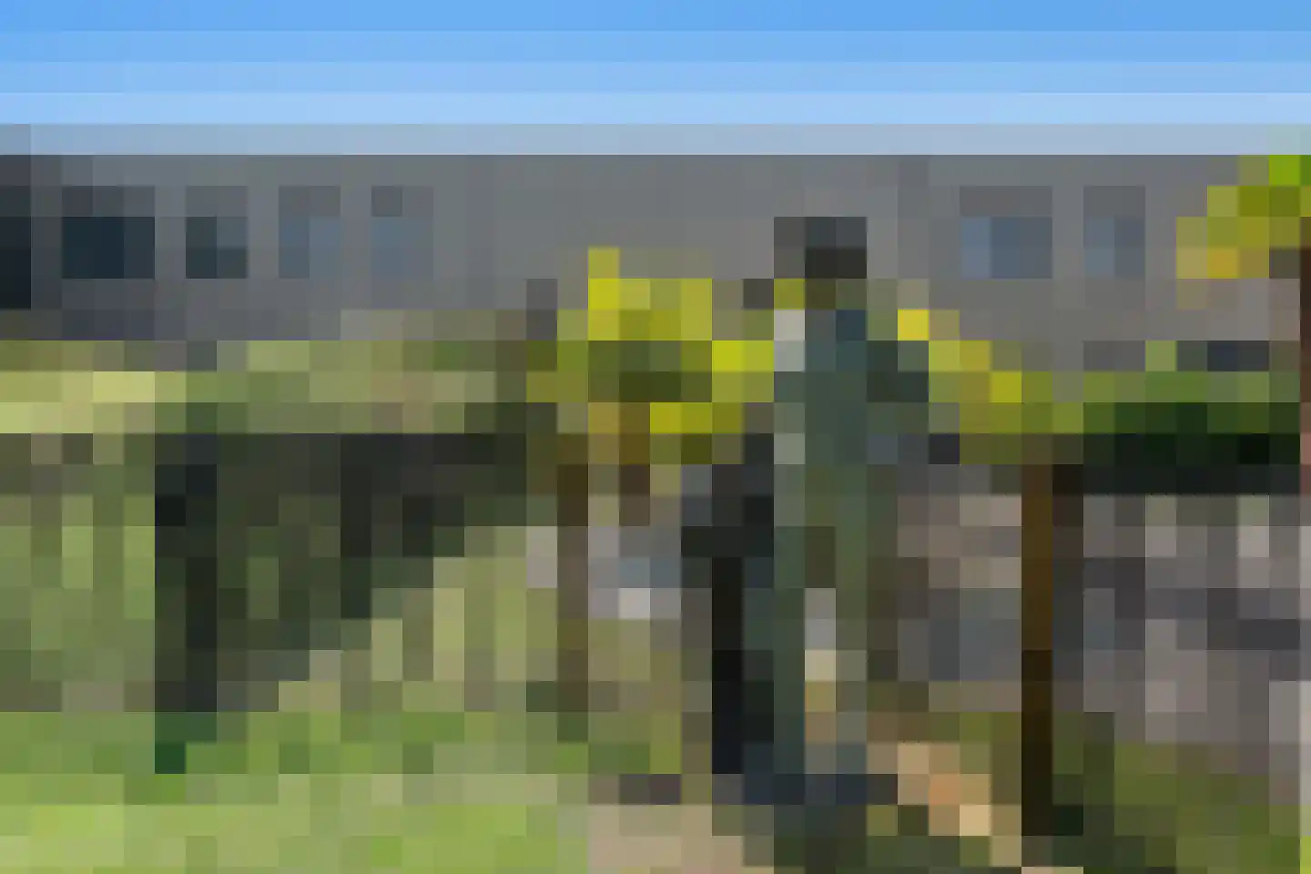 Lijnzaadweg 28 Berghem thumbnail 47
