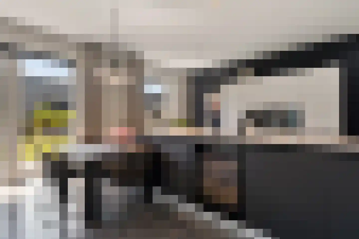 Lijnzaadweg 28 Berghem thumbnail 9
